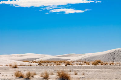 Scenic view of desert against blue sky