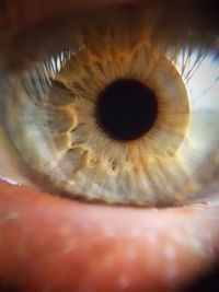 Close-up of human eye