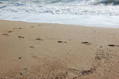 High angle view of beach