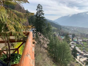 Panoramic shot of trees and houses against sky