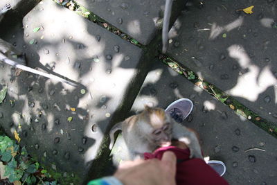 High angle view of person hand on water