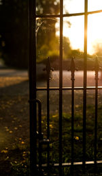 Close-up of plant against blurred background