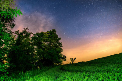 Trees on field against sky at night