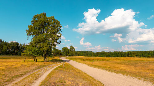 Road amidst trees on field against sky