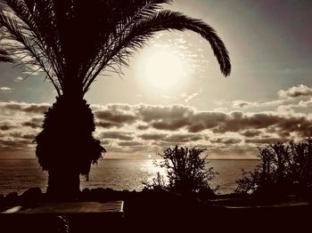 Silhouette tree by sea against sky during sunset