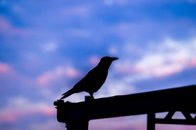 Low angle view of birds perching on tree