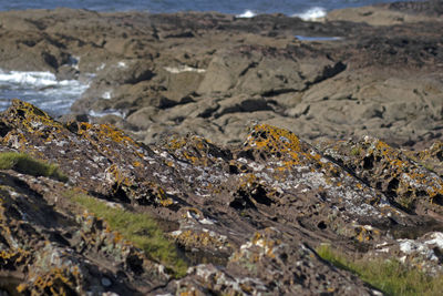 Close-up of rocks in the sea