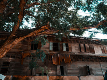 Low angle view of building and trees