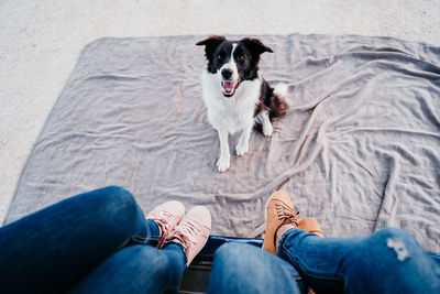 Low section of person with dog