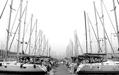 Sailboats moored at harbor