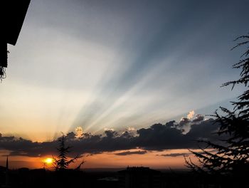 Silhouette trees against sky during sunset