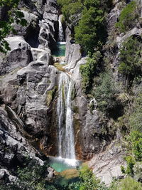 Scenic view of waterfall in forest