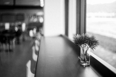 Close-up of flower vase on table