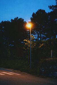 Road by trees against sky at night