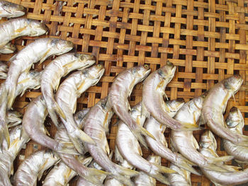 Close-up of lizard in basket for sale in market