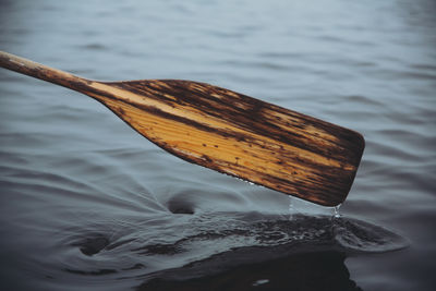 Close-up of water and paddle