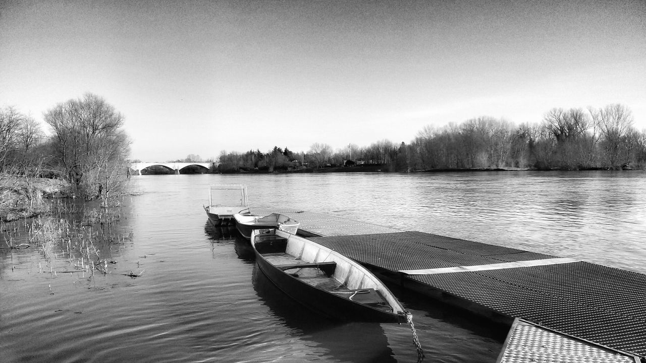 water, tranquil scene, lake, tranquility, scenics, clear sky, bare tree, tree, animal themes, calm, nature, beauty in nature, travel destinations, in a row, non-urban scene, sky, majestic, day, no people, swimming, tourism, outdoors, jetty