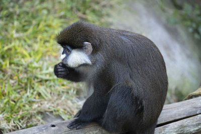 Close-up of young man looking away