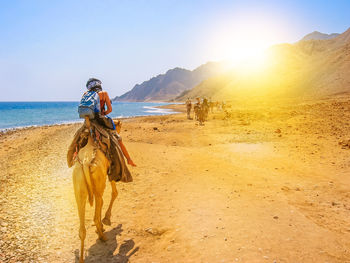 Rear view of woman riding camel at beach