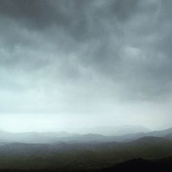 Close-up of tree against sky