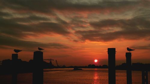 Silhouette wooden posts in sea against sky during sunset