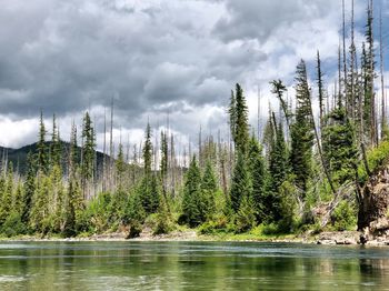 Glacier lake