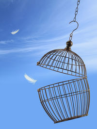 Low angle view of feathers and open cage against blue sky