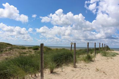 Fence on sand with grass by sea