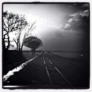 Empty road with trees in background