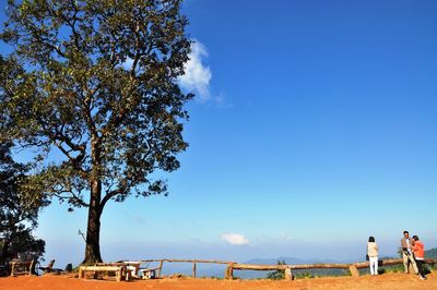 People standing by tree at observation point against sky