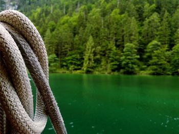 Close-up of rope tied on tree by lake