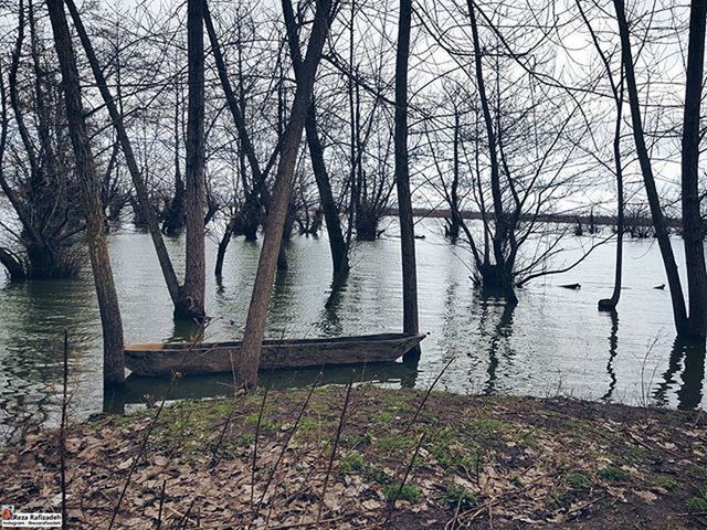 water, bare tree, transportation, lake, tree, river, tranquility, nautical vessel, reflection, nature, wood - material, boat, moored, day, outdoors, built structure, sky, mode of transport, tranquil scene, no people