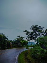 Road amidst trees against sky