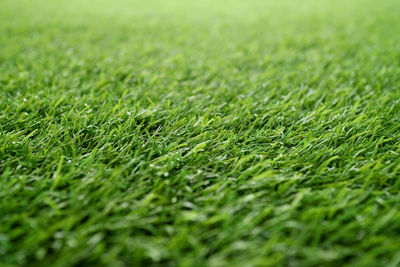 Green grass background, artificial grass on soccer field