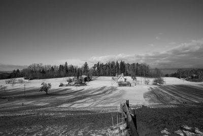 Trees on field against sky during winter