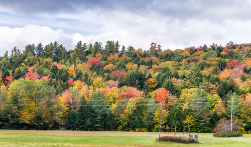 Trees on field against sky during autumn