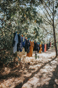 Clothes drying on clothesline against trees