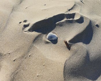 High angle view of footprints on sand