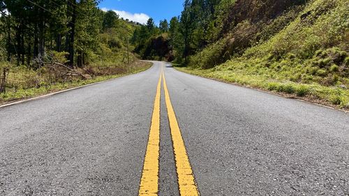 Surface level of road amidst trees