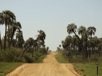 Empty dirt road amidst trees against clear sky