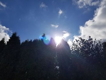 Low angle view of silhouette trees against sky in forest