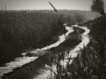 Scenic view of landscape