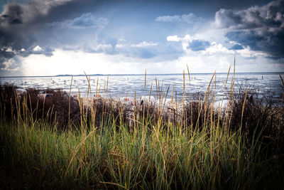 Scenic view of sea against sky