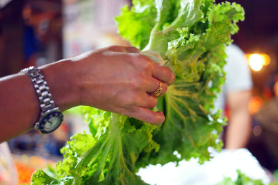 Close-up of woman holding bouquet of lettuce