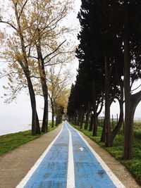 Road amidst trees against sky