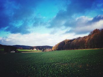 Scenic view of field against sky