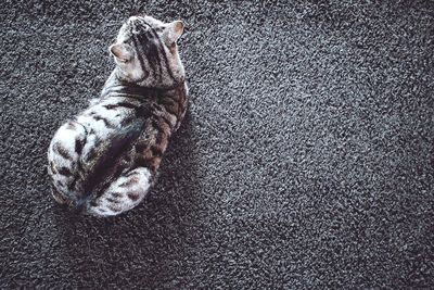 Close-up of building