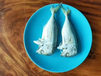 High angle view of fish on plate