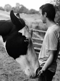 Man feeding horse while standing in animal pen