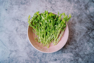 High angle view of food